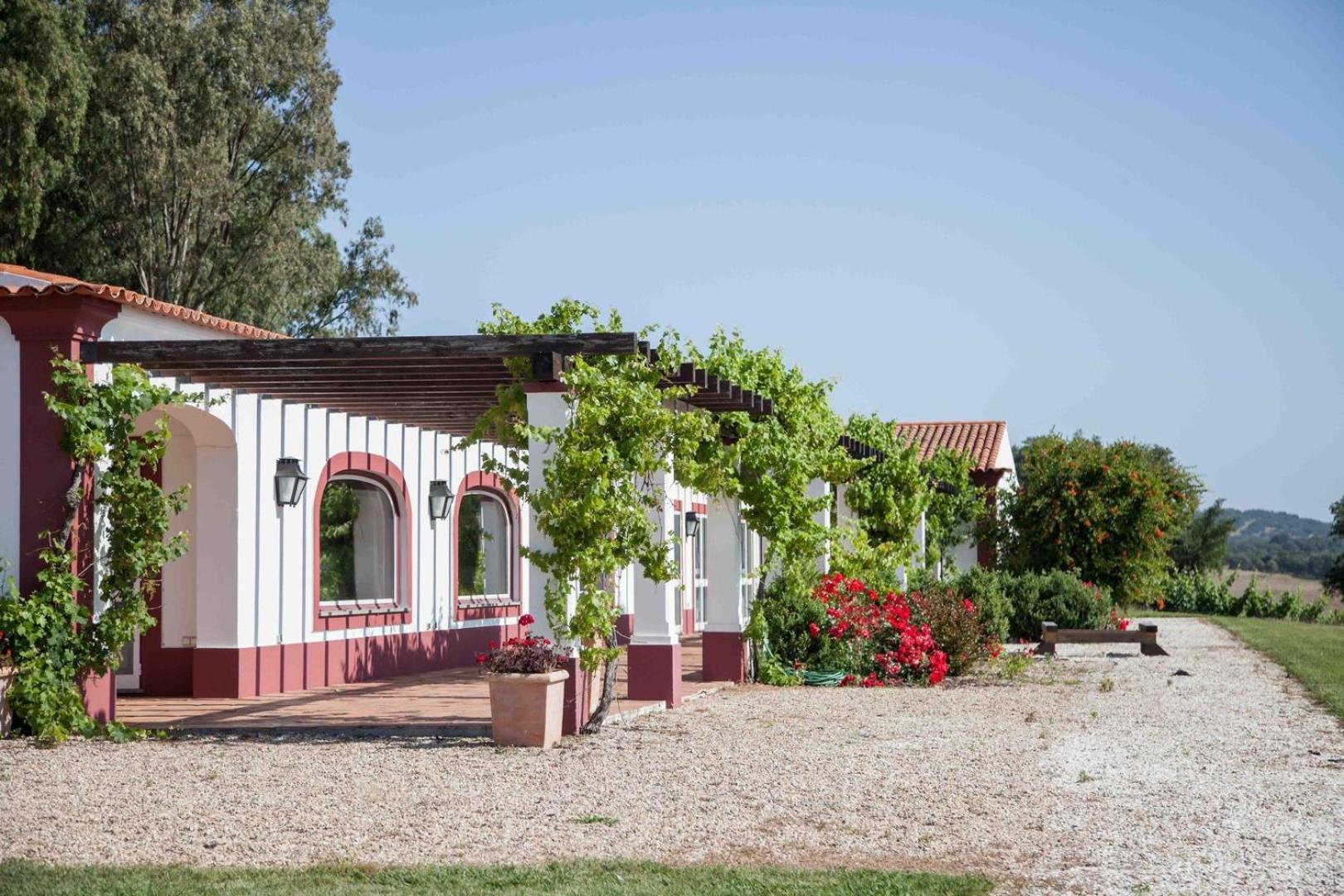 فيلا Stunning Mansion In Sao Cristovao مونتمور - أو - نوفو المظهر الخارجي الصورة